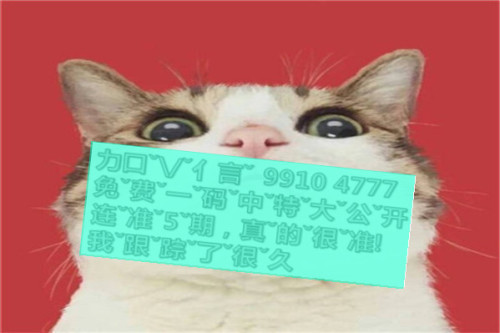 一肖啥意思，深度解析與SEO優(yōu)化文章，一肖含義深度解析與SEO優(yōu)化策略探討