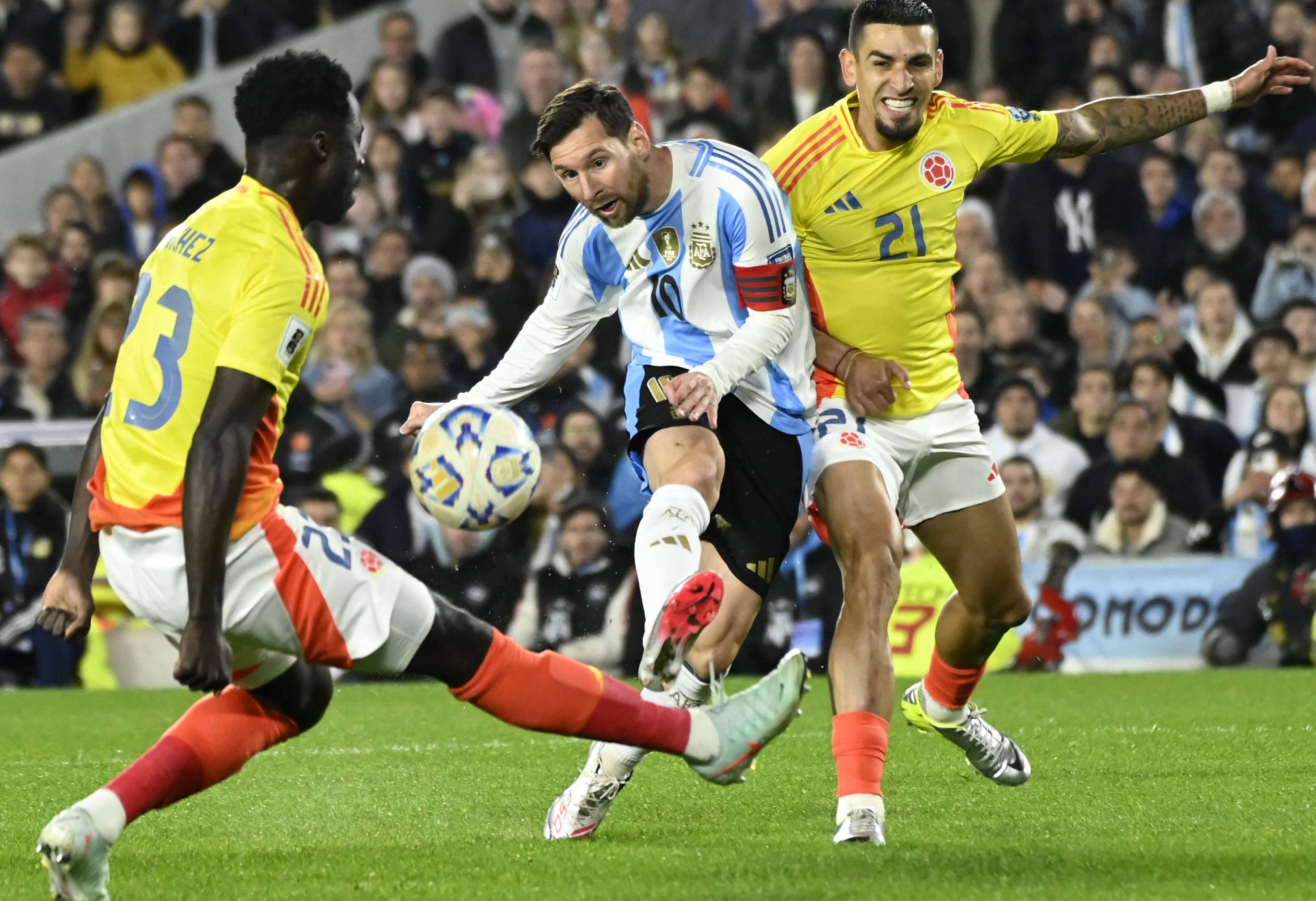 王中王一肖，揭秘碼一特一中的奧秘，揭秘王中王一肖特一中奧秘的真相