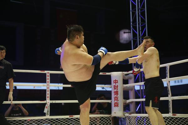 特特馬王中王一碼一肖，揭秘背后的秘密與探索SEO優(yōu)化策略，特特馬王中王一碼一肖，揭秘背后的秘密與SEO優(yōu)化策略探索