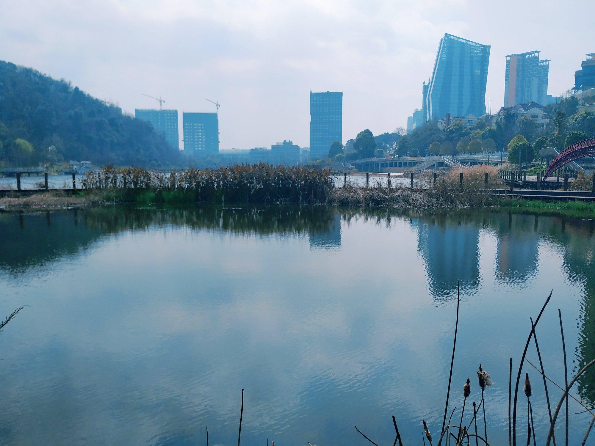 貴陽天氣未來15天查詢及詳細分析，貴陽未來15天天氣預報及詳細分析