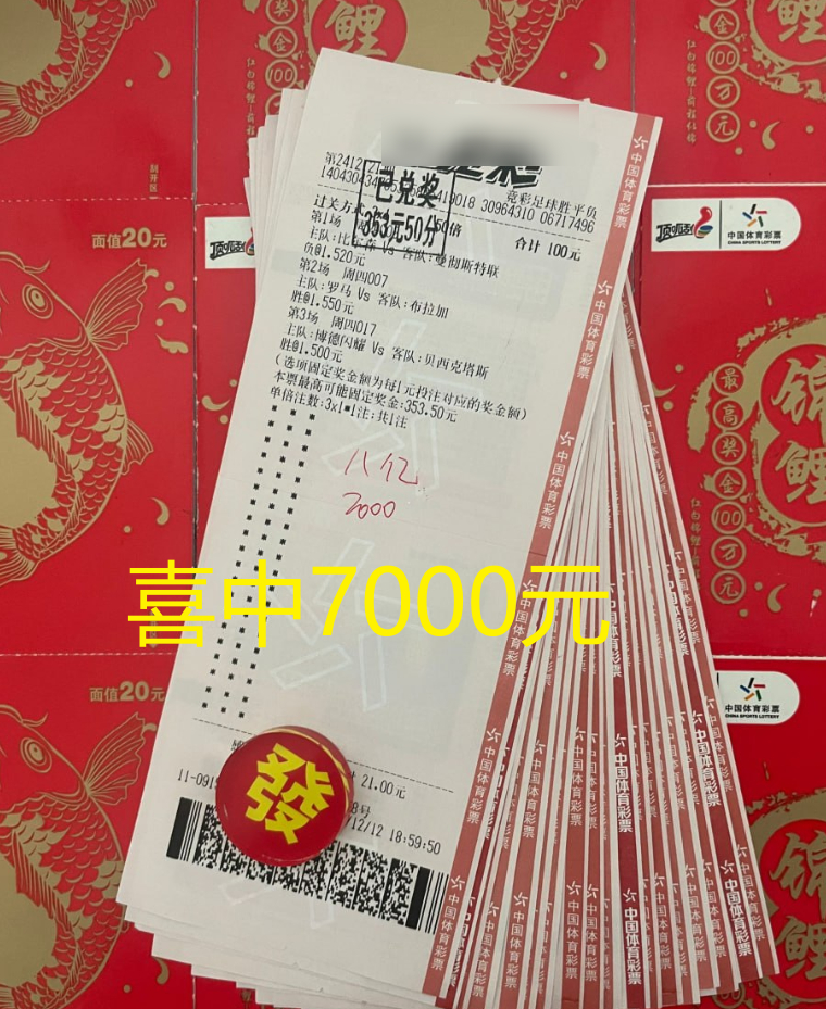 澳彩公證處一碼三中三，專業(yè)、公正、透明的彩票服務(wù)新標(biāo)桿，澳彩公證處，專業(yè)公正透明服務(wù)，一碼三中三引領(lǐng)彩票新標(biāo)桿