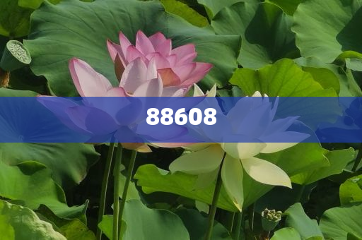 2025正版資料免費公開，獲取優(yōu)質(zhì)資源的全新時代，優(yōu)質(zhì)資源免費公開，開啟全新時代獲取優(yōu)質(zhì)資料之旅