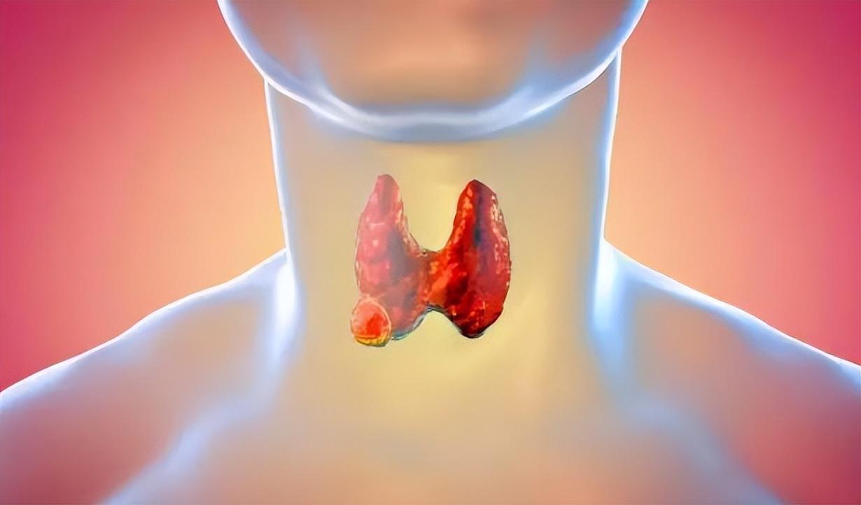 為什么醫(yī)生最怕O型血？探究O型血的特殊之處，探究O型血的特殊之處，醫(yī)生為何對O型血有所顧忌？