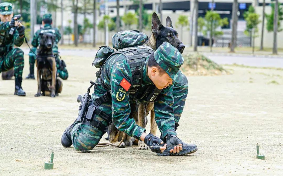 南部戰(zhàn)區(qū)，軍事力量與戰(zhàn)略發(fā)展的核心焦點，南部戰(zhàn)區(qū)，軍事力量布局與戰(zhàn)略發(fā)展的核心焦點