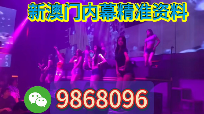 新澳門今晚開特馬，探索澳門博彩文化背后的秘密，澳門博彩文化揭秘，探尋特馬背后的秘密