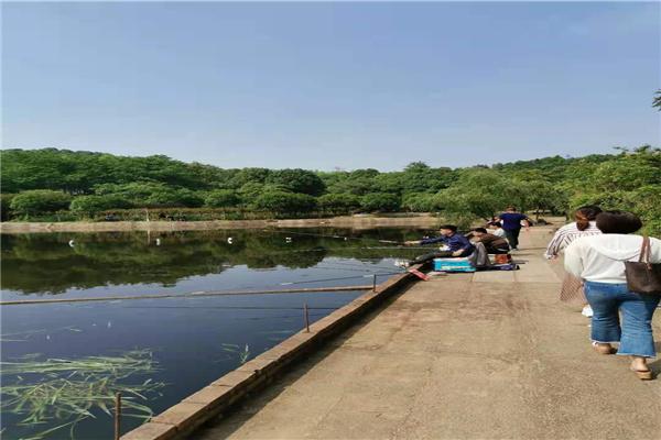 長(zhǎng)沙市內(nèi)一日游，探尋千年古都的魅力之旅，長(zhǎng)沙一日探秘千年古都之旅