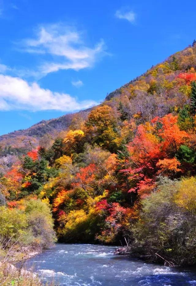 自駕去九寨溝的最佳路線指南，自駕九寨溝，最佳路線指南
