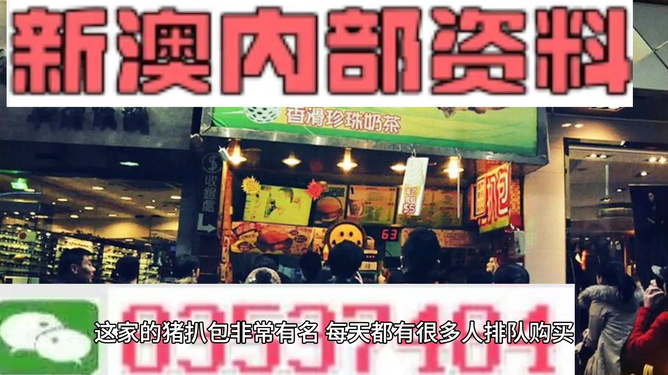 2025新澳精準(zhǔn)資料大全，一站式獲取最新信息資源的指南，2025新澳精準(zhǔn)資料大全，一站式獲取最新信息資源的指南