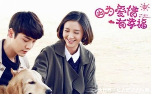 好看的電視劇排行榜前十名，精彩劇情一覽，電視劇排行榜前十名精彩劇情全覽