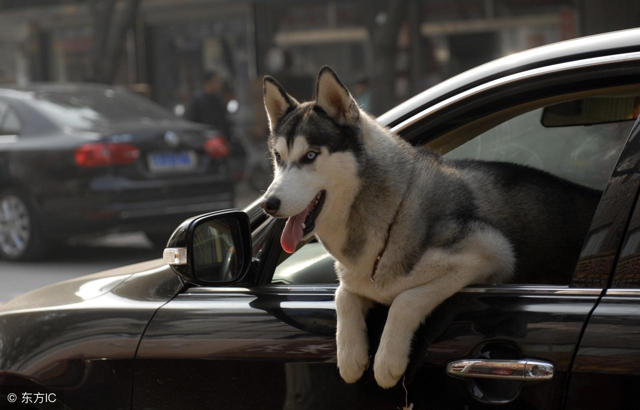 今晚九點三十分特馬開彩盛宴，揭秘彩票背后的秘密！，揭秘彩票背后的秘密，今晚九點三十分特馬開彩盛宴！
