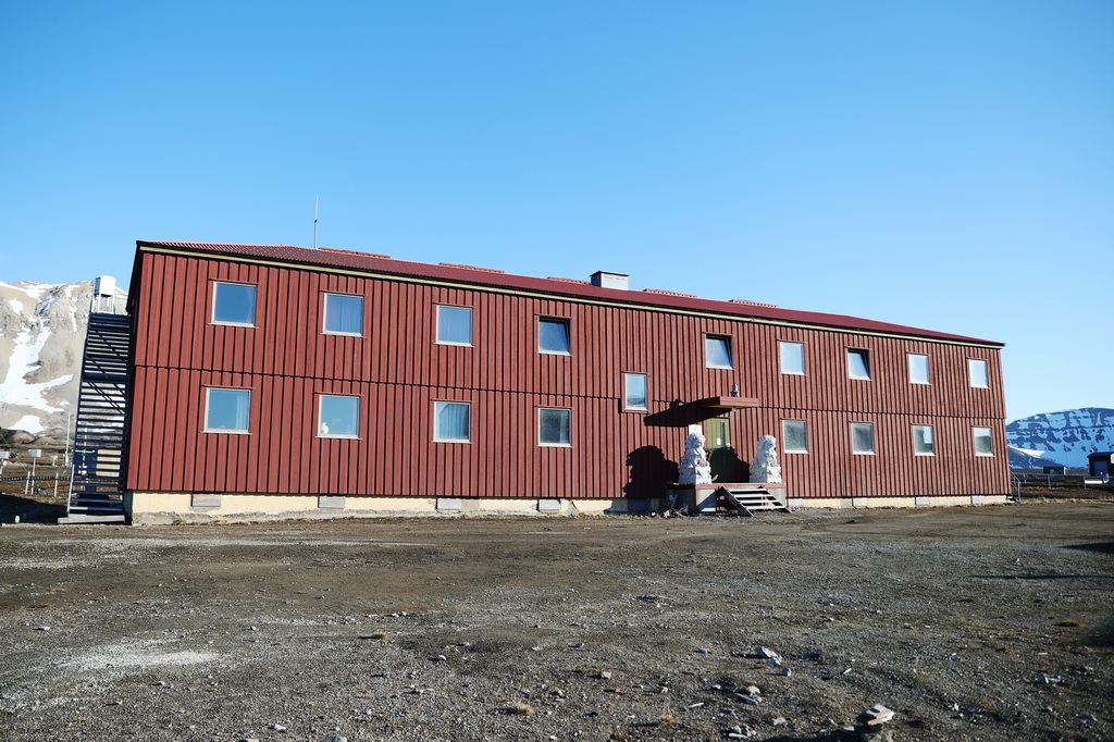 新澳王中王，揭秘一肖一特一中背后的奧秘，揭秘新澳王中王一肖一特一中背后的秘密傳奇