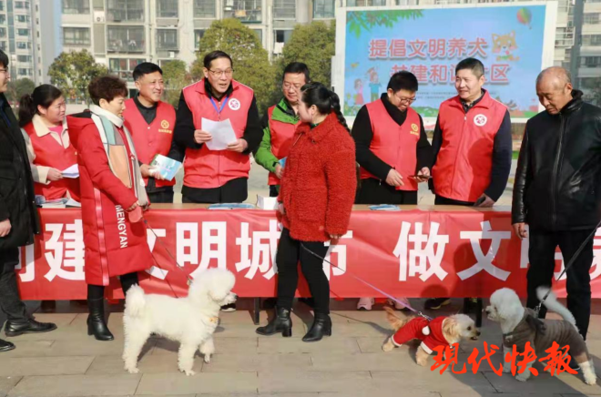 急先鋒澳門六肖，深度解析與探索，澳門六肖急先鋒，深度解析與探索