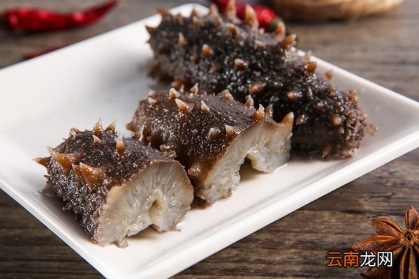 海生的功效與作用，探索海洋的寶藏，海生植物，功效與作用的探索，揭示海洋的寶藏秘密