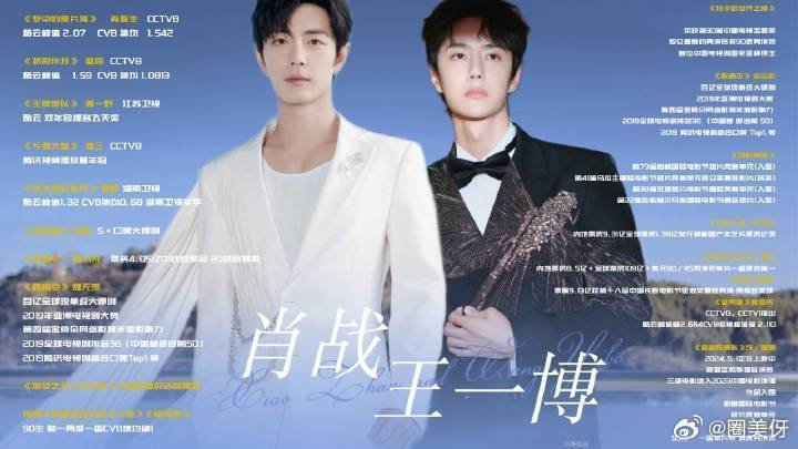 王中王一肖資料詳解，王中王一肖資料大全解析