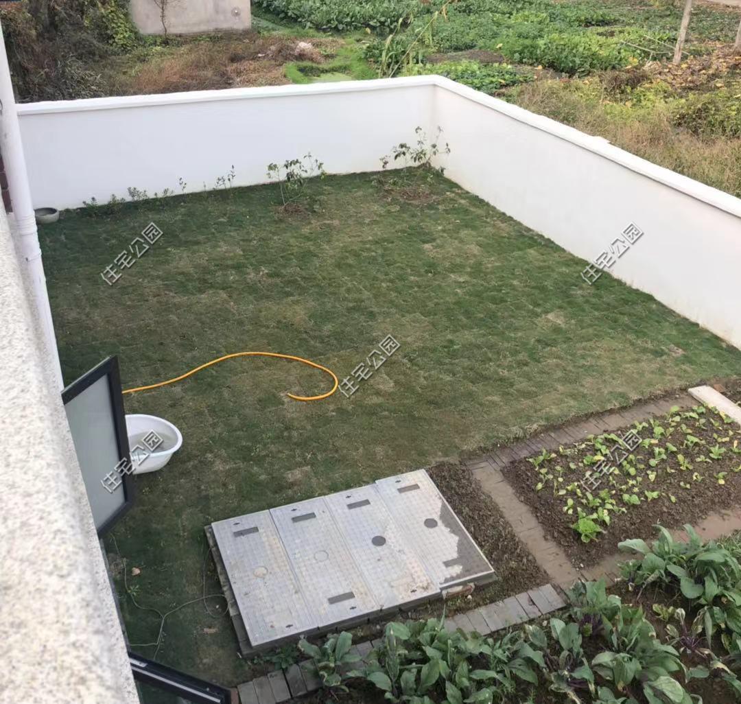 一肖中2碼，揭秘彩票背后的秘密與策略，揭秘彩票背后的策略與秘密，一肖中兩碼解析