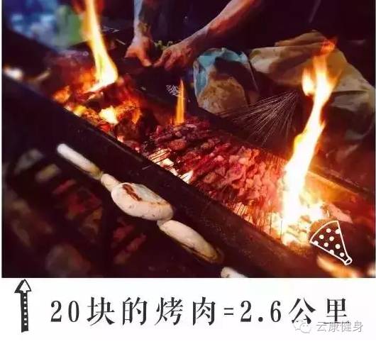 王中王313期指一生肖——揭秘生肖運(yùn)勢(shì)與人生軌跡的獨(dú)特聯(lián)系，揭秘生肖運(yùn)勢(shì)與人生軌跡的獨(dú)特聯(lián)系，王中王313期指一生肖詳解