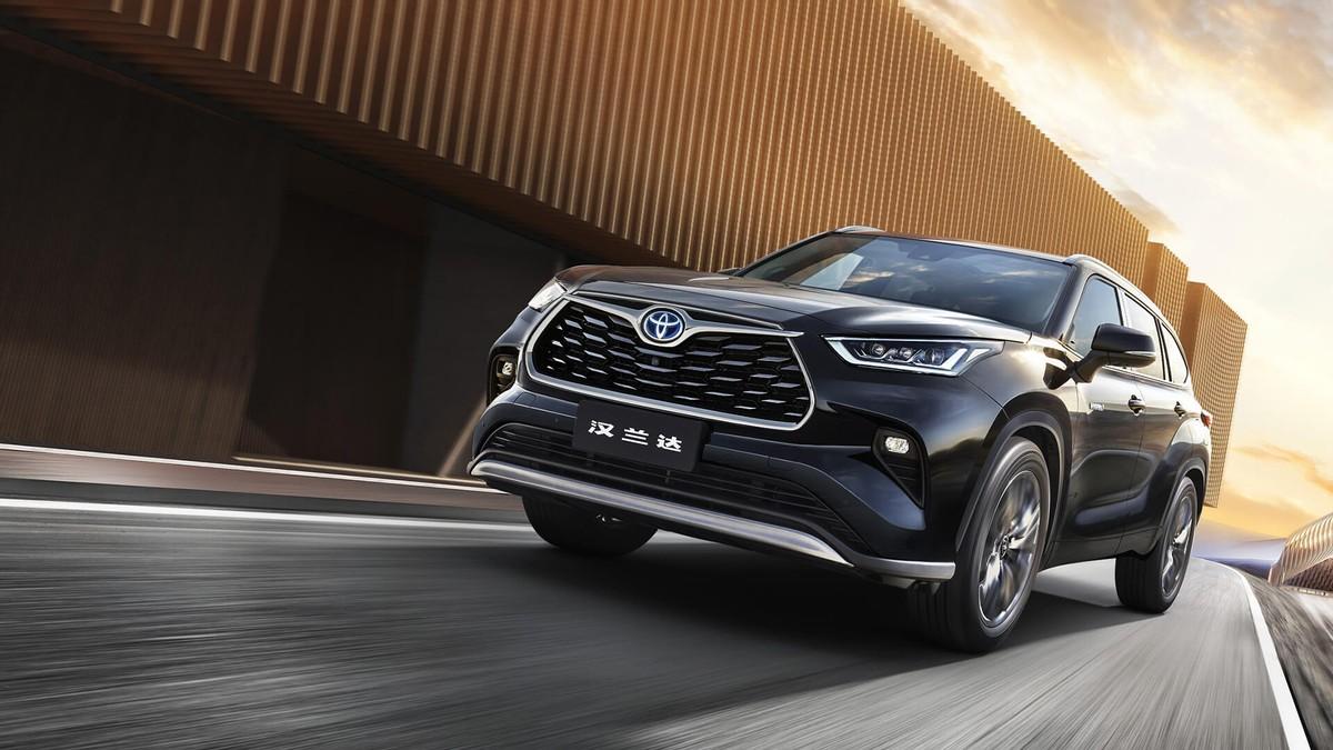 四肖期期一王中王，揭秘背后的秘密與策略洞察，揭秘四肖期期一王中王的秘密與策略洞察