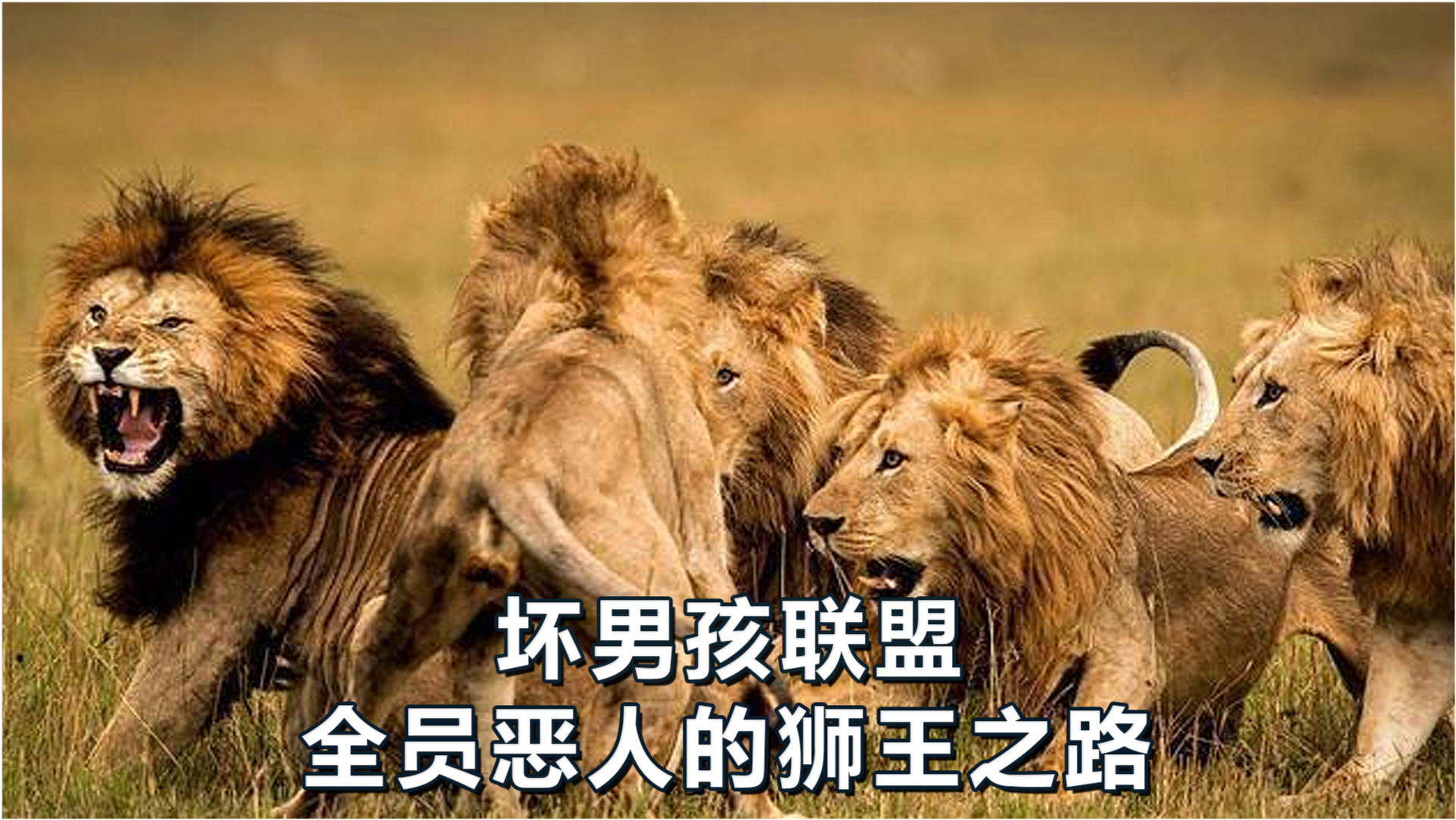 王中王必中一肖四不像圖——深度解析與探索，王中王必中一肖四不像圖深度解析與探索揭秘