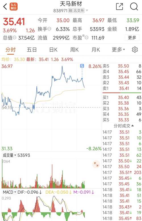 天馬微電子股票，投資前景深度解析，天馬微電子股票投資前景深度解析