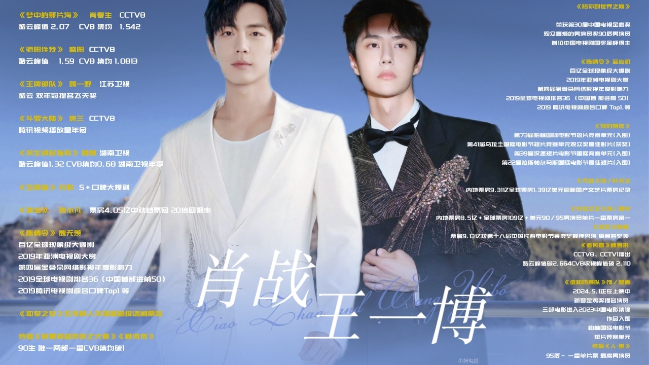 王中王一肖中特期期詮，深度解析與SEO優(yōu)化策略，王中王一肖特期深度解析與SEO優(yōu)化策略全攻略