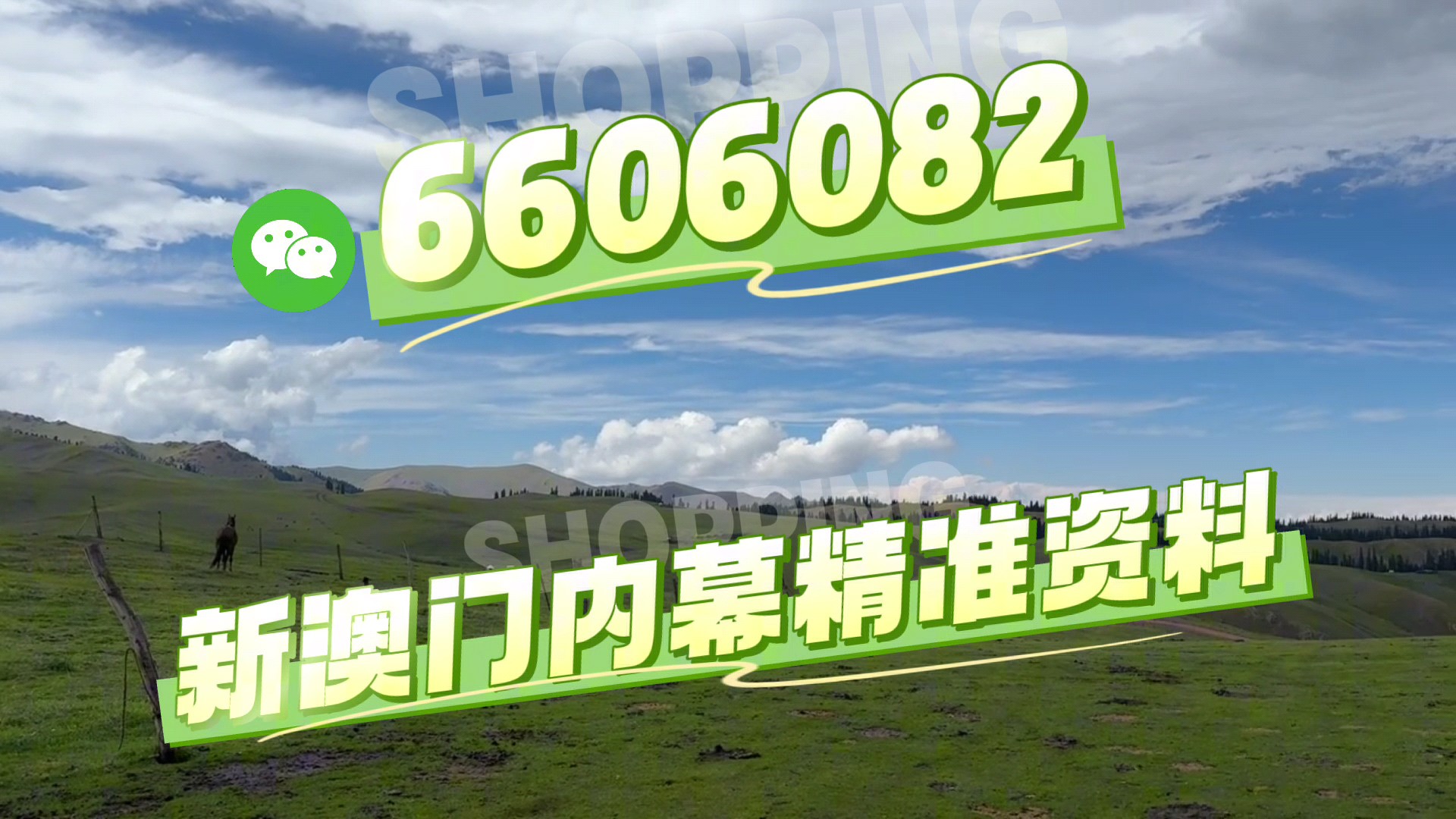 澳門特馬今晚開獎(jiǎng)，聚焦2025年第56期開獎(jiǎng)盛況，澳門特馬第56期開獎(jiǎng)盛況聚焦，今晚開獎(jiǎng)揭曉！