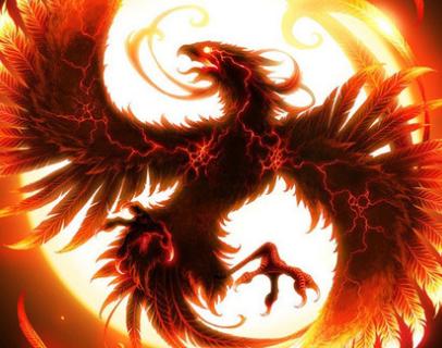 王中王精準一肖中鳳凰，揭秘預測之謎，揭秘王中王精準預測一肖中鳳凰的奧秘