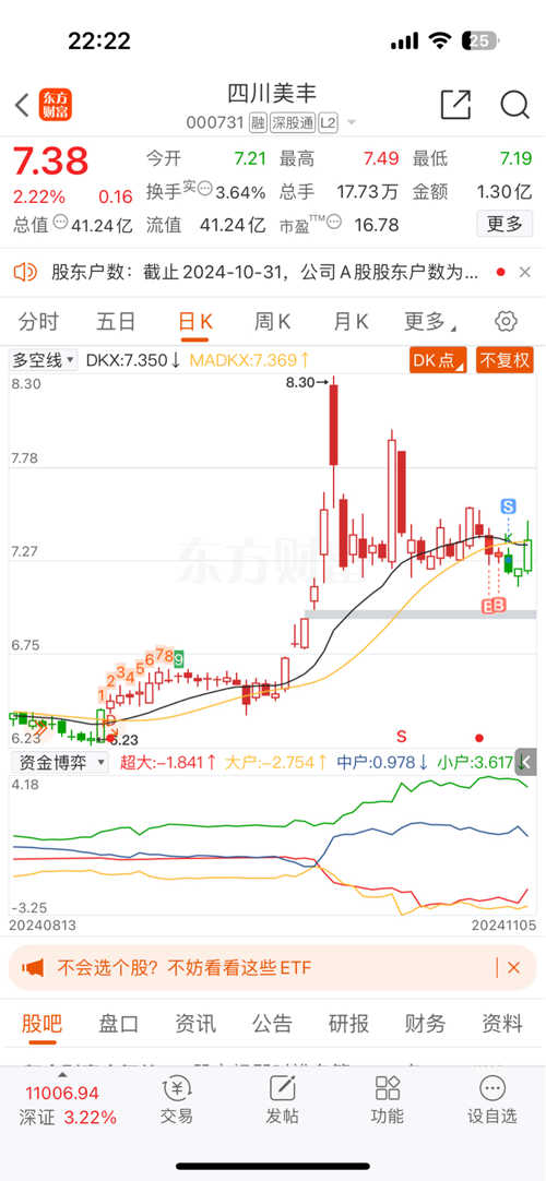 四川美豐股份股票，深度解析與發(fā)展前景展望，四川美豐股份股票深度解析與未來發(fā)展前景展望