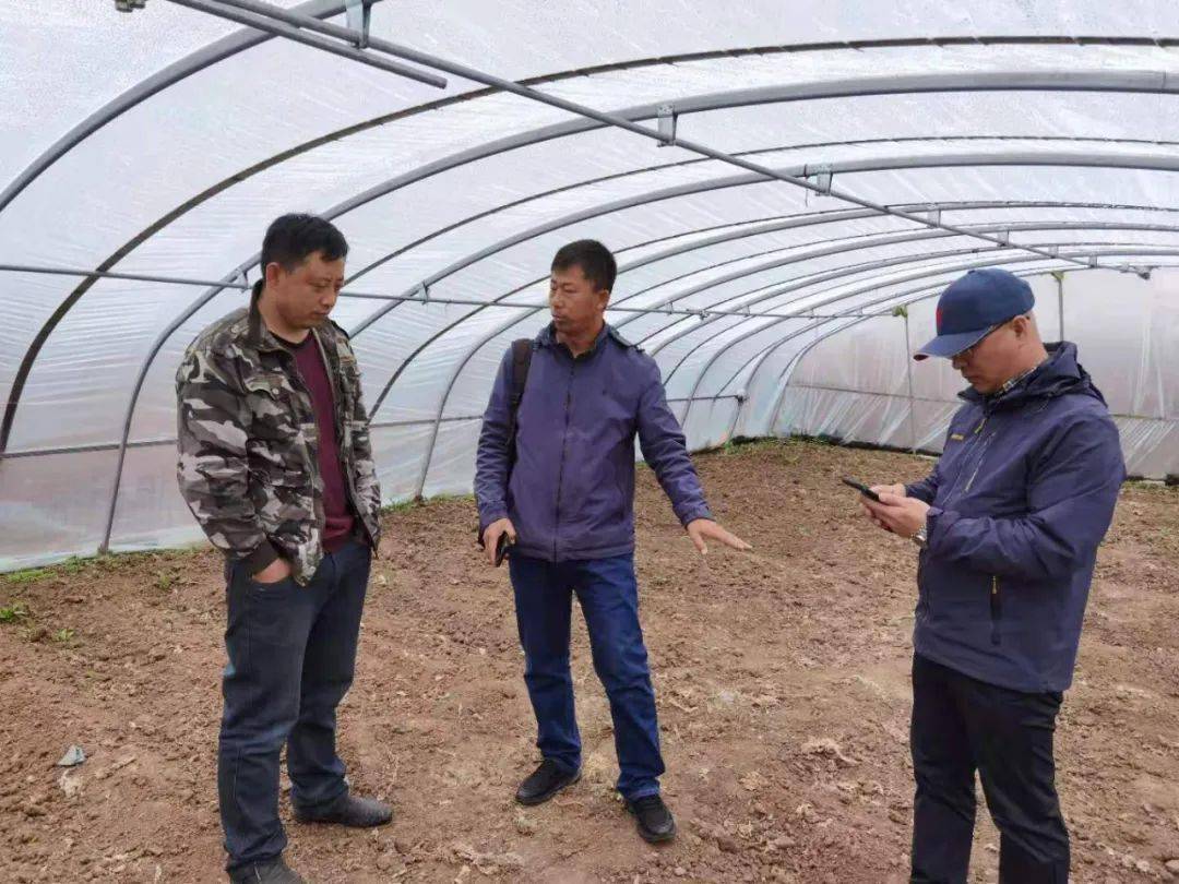 新澳門王中王100%期期中——揭秘彩票秘密，掌握中獎(jiǎng)之道，揭秘新澳門王中王彩票中獎(jiǎng)秘訣，掌握中獎(jiǎng)之道，期期中！