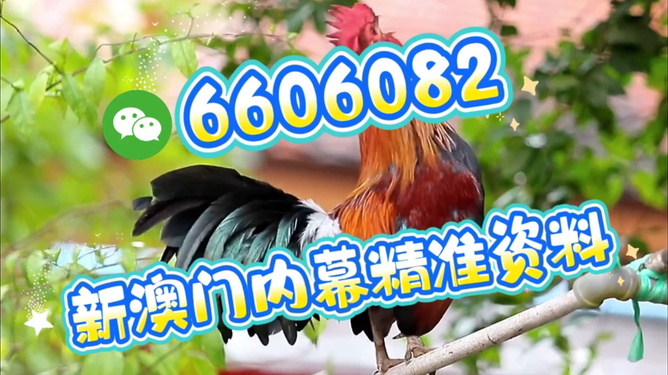 澳門特馬今天開獎結果，揭秘彩票背后的秘密，澳門特馬今天開獎結果揭秘，彩票背后的秘密大揭曉