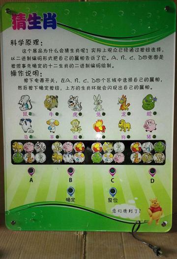 王中王猜一生肖，揭秘生肖文化中的奧秘與趣味，揭秘生肖文化之奧秘趣味，王中王猜一生肖探索之旅