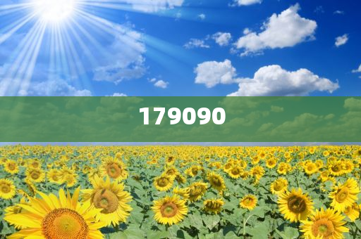 揭秘未來之星，2025新澳王中王，揭秘未來之星，2025新澳王中王風采展示