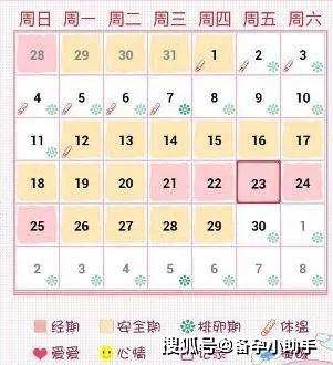 如何準確計算女性排卵期，方法與技巧解析，女性排卵期準確計算方法解析與技巧指南