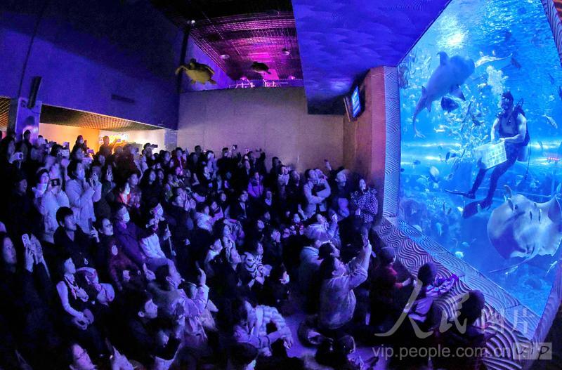 新澳2025今晚開獎(jiǎng)結(jié)果揭曉，期待與驚喜的交匯點(diǎn)，新澳2025今晚開獎(jiǎng)結(jié)果揭曉，期待與驚喜的碰撞