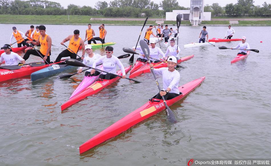 王中王一碼一肖免費公開，揭秘精準(zhǔn)預(yù)測的秘密，揭秘王中王一碼一肖精準(zhǔn)預(yù)測的秘密，免費公開揭秘！