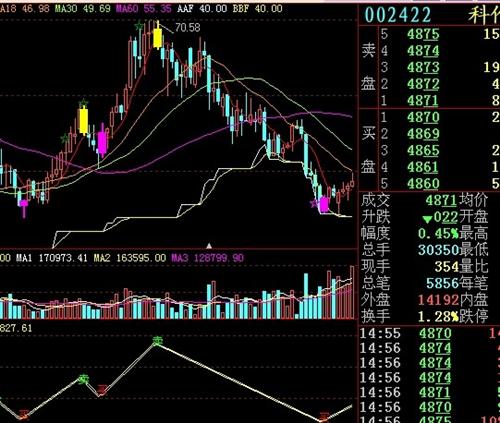 關(guān)于股票投資，深度解析002422股票的投資價(jià)值，深度解析，股票投資中的002422股票投資價(jià)值探究