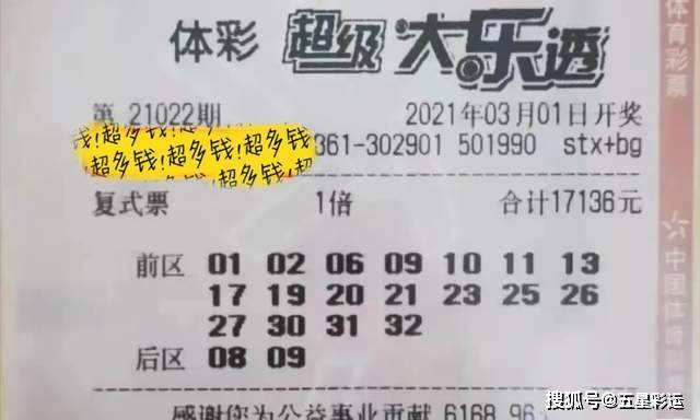 一肖三碼王中王，揭秘背后的秘密與策略，揭秘一肖三碼王中王的秘密與策略