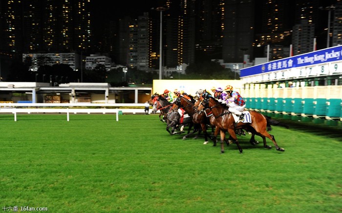 賽馬澳門六月開獎結果，激情與期待的交匯點，澳門六月賽馬開獎結果，激情與期待的巔峰時刻