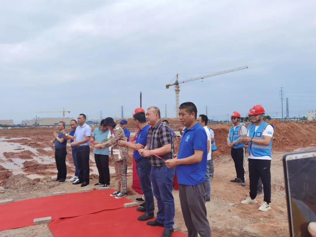 李子園股票，投資潛力與前景展望，李子園股票，投資潛力與未來前景展望