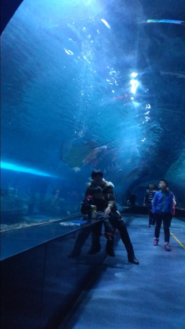 天津一日游，探索城市中的好玩地方，天津一日游，探尋城市魅力，暢游好玩之地