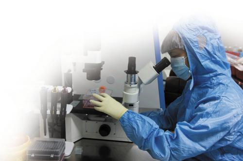 造影檢查費(fèi)用詳解，價(jià)格因何而異，造影檢查費(fèi)用解析，價(jià)格差異原因探究