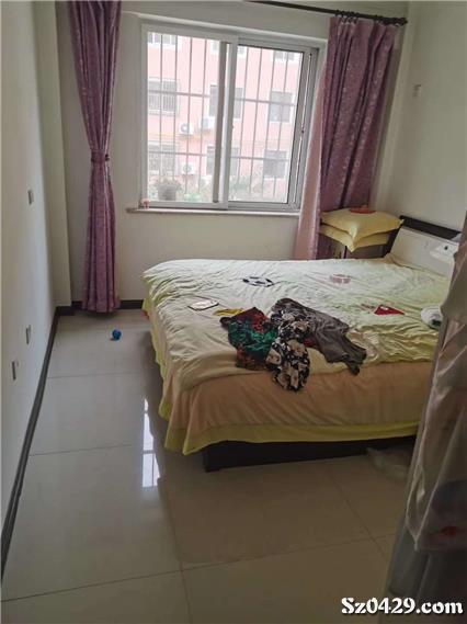 大皇王中王一肖，揭秘背后的秘密與策略，揭秘大皇王中王一肖背后的秘密與策略