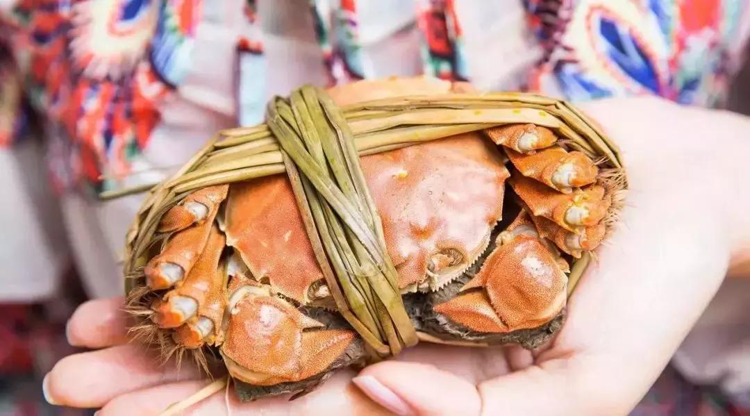 關(guān)于螃蟹死亡后能否食用的探討——聚焦24小時(shí)之內(nèi)死了的螃蟹能否食用問題，關(guān)于螃蟹死亡后能否食用的探討，聚焦螃蟹死亡24小時(shí)內(nèi)食用問題