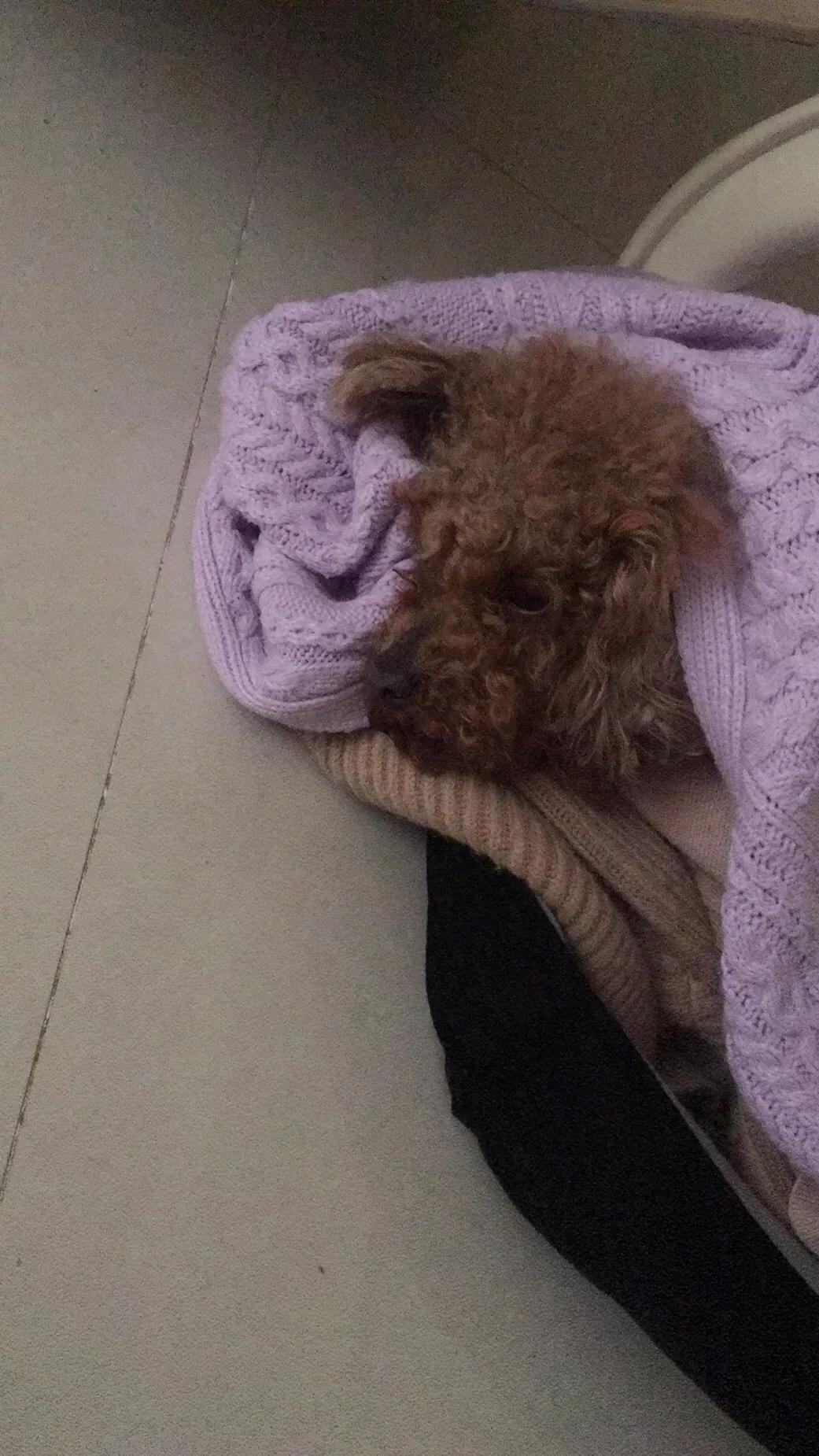 急性腸胃炎如何緩解，有效的應(yīng)對(duì)方法，急性腸胃炎緩解攻略，有效應(yīng)對(duì)方法大盤(pán)點(diǎn)