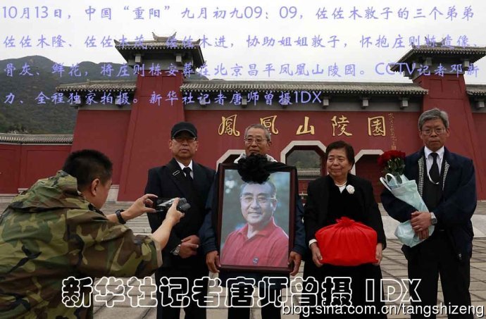 一肖出特王中王選，深度解析與SEO優(yōu)化策略，一肖出特王中王選，深度解析及SEO優(yōu)化策略全攻略