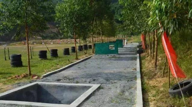 近期國(guó)防軍事事件，全球軍事動(dòng)態(tài)深度解析，全球軍事動(dòng)態(tài)深度解析，國(guó)防軍事事件最新進(jìn)展與啟示