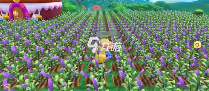 摩爾莊園紫羅蘭種子，種植與優(yōu)化的SEO策略，摩爾莊園紫羅蘭種子種植與SEO策略優(yōu)化指南