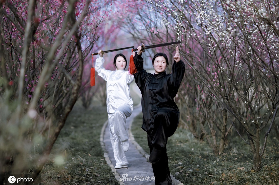 揭秘劉伯溫一期一肖期期中的奧秘與真相，劉伯溫一期一肖期奧秘與真相揭秘