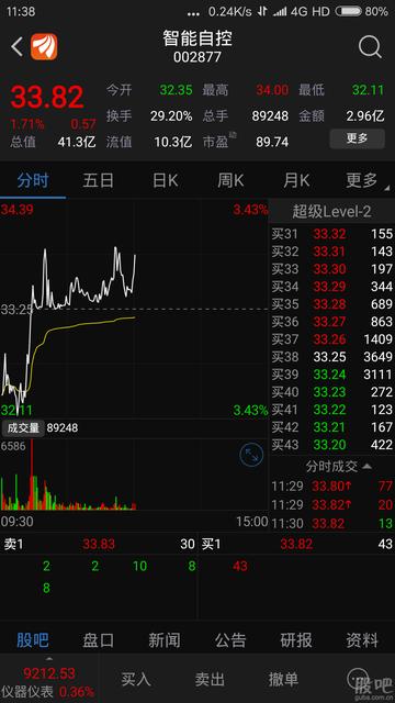 揭秘股票代碼002877，投資潛力與前景展望，揭秘股票代碼002877，投資潛力與未來前景展望