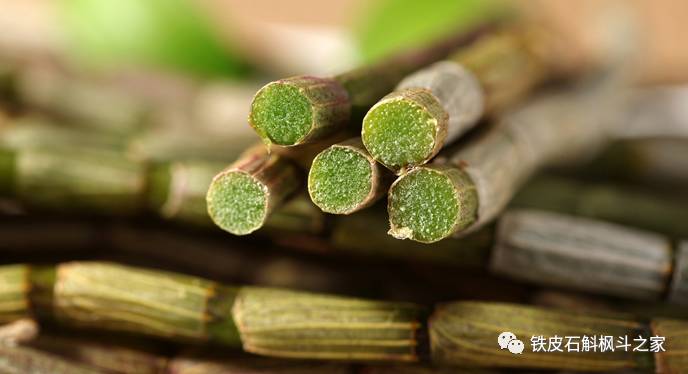 女人吃石斛的潛在風(fēng)險(xiǎn)與注意事項(xiàng)，女人食用石斛的潛在風(fēng)險(xiǎn)及注意事項(xiàng)