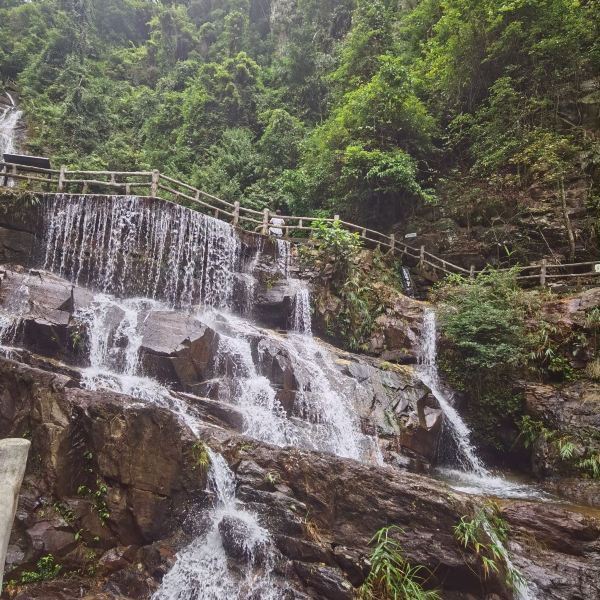 鼎湖山景區(qū)旅游攻略，探索自然之美，體驗獨特風情，鼎湖山景區(qū)旅游攻略，自然之美與獨特風情探索之旅